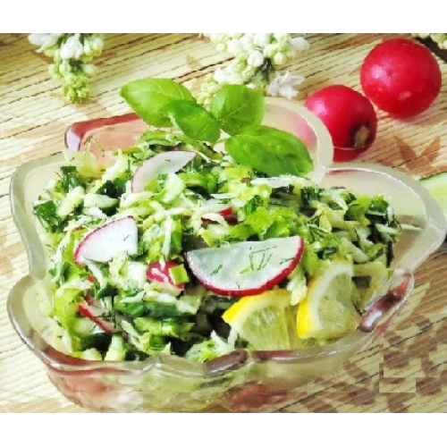 Young cabbage salad with radishes